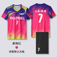 運(yùn)動(dòng)特工排球服女定制排球短袖套裝氣排球運(yùn)動(dòng)比賽服裝訓(xùn)練隊(duì)服男2024新款 B9紫梅紅 M