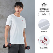駱駝（CAMEL）運(yùn)動(dòng)T恤透氣健身衣跑步體恤寬松速干衣短袖上衣 J0S2VO6925，白色，男 2XL (190)