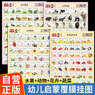【全4冊(cè)】四季應(yīng)季水果+認(rèn)識(shí)動(dòng)物+認(rèn)識(shí)花卉+時(shí)令蔬菜 幼兒?jiǎn)⒚砂倏浦R(shí)科普掛圖墻貼