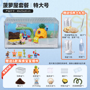 Barbarous Growth爬寵亞克力飼養盒爬蟲(chóng)守宮寄居蟹箱蜥蜴蛇角蛙蜘蛛蝸牛甲蟲(chóng)生態(tài)缸 寄居蟹造景套餐 系列五