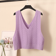 嘉鈺潮庫毛線(xiàn)背心女馬夾女春秋季針織馬甲春款織女v領(lǐng)寬松短款毛衣小開(kāi)衫 紫色 2XL