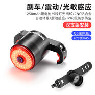 洛克兄弟（ROCKBROS）自行車尾燈USB充電騎行安全夜騎車燈警示燈公路山地車尾燈配件 智能感應(yīng)小巧輕量Q5mini(雙支款)