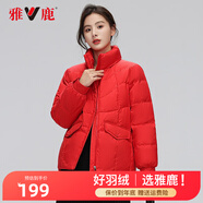 雅鹿羽絨服短款立領(lǐng)新款寬松韓版小個(gè)子顯高多色初冬外套Y 紅色 165/L