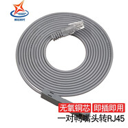 輝宏時代鴨嘴跳線RJ45 RJ11一對鴨嘴頭電話跳線110配線架測試線 2芯RJ45轉(zhuǎn)1對鴨嘴頭 灰色 1.5米
