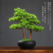 樸記  仿真迎客松盆景禪意小擺件創(chuàng)意室內(nèi)小盆栽崖柏松樹辦公桌面假花擺設(shè)家居裝飾品 黑色盆小松樹- 崖柏葉