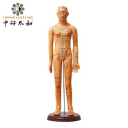 中研太和人體針灸模型經(jīng)絡(luò )穴位中醫全身十二經(jīng)絡(luò )銅人模特圖小人扎針練習小皮人數字定位可扎針款 女模型練習