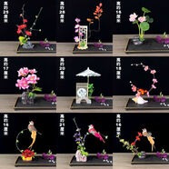 文手酒店意境菜品冷菜盤(pán)飾餐飲刺身擺盤(pán)裝飾花草高檔盤(pán)花壽司點(diǎn)綴花 套餐八[掌柜推薦]