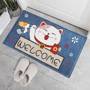 季象入戶(hù)門(mén)地墊家用進(jìn)門(mén)防滑墊子玄關(guān)門(mén)口腳墊免洗輕奢簡(jiǎn)約門(mén)墊可定制 Wellcome招財貓 定制款50/平/聯(lián)系客服單拍不發(fā)貨