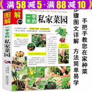 【包郵】蔬菜種植技術(shù)室內(nèi)室外西紅柿黃瓜茄子青菜辣椒草莓陽(yáng)臺(tái)露臺(tái)陽(yáng)臺(tái)庭院頂樓 種菜栽培實(shí)用手冊(cè) 一平米的私家菜園 藤田智 定價(jià)39.8