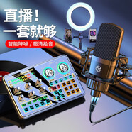 好牧人 聲卡套裝手機直播設備全套音響臺式電腦電容麥克風(fēng)網(wǎng)紅帶貨主播配音話(huà)筒抖音全民錄音K歌變聲器 【旗艦版】調音臺聲卡套裝（配送桌面補光燈支架）