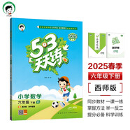 53天天練 小學(xué)數(shù)學(xué) 六年級下冊 XS 西師版 2025春季 含測評卷 參考答案 開學(xué)季