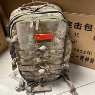 兵克星空突擊背包 戰(zhàn)術(shù)背包 迷彩背包 新式突擊包 戶外作訓(xùn)包野戰(zhàn)作業(yè)包 荒漠星空突擊背包