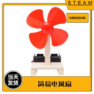 自制電風(fēng)扇物理電路實(shí)驗(yàn)科技小制作兒童科學(xué)實(shí)驗(yàn)電動(dòng)搖頭風(fēng)扇小學(xué)生手工材料stem教具批發(fā)六一兒童節(jié)禮物 松木條簡(jiǎn)易電風(fēng)扇 精美包裝-送PPT制作原理