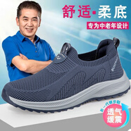 足立健足力健老人鞋夏季一腳蹬男網(wǎng)面透氣中老年舒適爸爸鞋散步休閑戶外健步鞋 霧藍(lán)D6605男NI 41 運(yùn)動(dòng)鞋標(biāo)準(zhǔn)碼