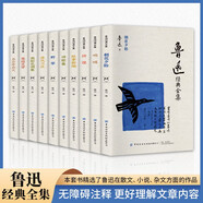 魯迅經(jīng)典全集 (全10冊(cè)) 文學(xué)研究類(lèi)書(shū)籍 國(guó)學(xué)普及讀物 文學(xué)作品集  魯迅