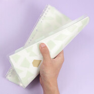 錦宮(King Jim)B5活頁(yè)本筆記本線(xiàn)圈本TEFRENU style系列 淺綠寶石 9855TES-GS JEWEL