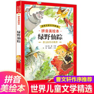 世界兒童文學(xué)精選：綠野仙蹤（拼音美繪本）