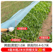 時光舊巷小拱棚支架桿蔬菜拱棚骨架育苗菜棚花棚玻璃纖維桿彈力棒農(nóng)用大棚 4毫米粗2米長【20根】
