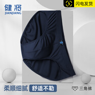 健將男士?jī)?nèi)褲三角褲2條裝透氣竹纖維性感男式短褲衩中腰純色男生內(nèi)褲 83J76莫代爾-顏色隨機(jī) 2條 3XL (腰2.7-3.0尺 重150-170斤)