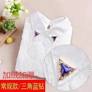 蒂洛緹娜蕾絲雪紡上衣女秋冬新款白色重工鑲鉆襯衫加絨加厚長(cháng)袖打底衫 加絨加厚藍三角 M