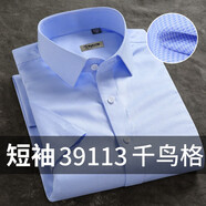 啄木鳥(niǎo)高端純棉D(zhuǎn)P免燙白色男士短袖襯衫夏季新款商務(wù)休閑正裝職業(yè)藍(lán)襯衣 短袖39113千鳥(niǎo)格 40建議140-149斤