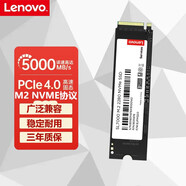 聯(lián)想（Lenovo） 戴爾游匣G15 5511 5510 5515 M2 SSD固態(tài)硬盤支架加裝升級(jí) 1TB+硬盤固態(tài)支架+散熱片 游匣G15-5511