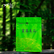 蕭氏鄧村綠茶宜昌毛尖湖北三峽特產(chǎn)茶葉毛尖250g