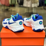 耐克（NIKE）男鞋2025新款夏季實戰(zhàn)籃球鞋抗扭中幫輕便緩震運動休閑鞋 DD9311-102白藍 44.5