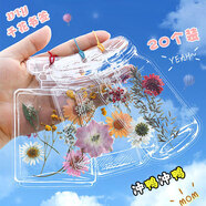 獅洛德  20個(gè)干花書(shū)簽開(kāi)學(xué)獎(jiǎng)品 手工diy透明小瓶子壓花用學(xué)生創(chuàng)意塑料自制植物標(biāo)本伴手禮