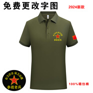 翻領(lǐng)八一戰(zhàn)友聚會(huì)留念服裝t恤退伍老兵紀(jì)念衫短袖建軍節(jié)相聚衣服 軍綠色【參戰(zhàn)款】J10翻領(lǐng) L【115-125斤】