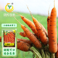 鳳鳴雅世手指迷你小胡蘿卜種籽四季蔬菜種孑菜籽菜種小脆甜胡蘿卜種子10克