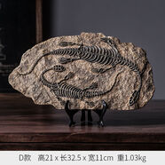 榮弘發(fā)仿真恐龍化石復古古生物標本桌面小擺件家居辦公室客廳電視柜飾品 恐龍化石【D款 似鴕龍】