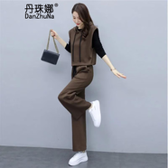 丹珠娜衛(wèi)衣女裝秋季套裝韓版上衣服外套女早秋時尚休閑運動三件套裝女士 咖色（三件裝） XL