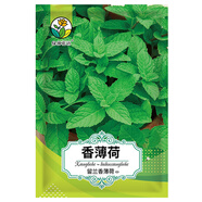 綠林花語(yǔ)香薄荷種子食用泡茶多年生四季驅(qū)蚊蟲陽(yáng)臺(tái)盆栽庭院留蘭香薄荷種籽