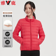 雅鹿90%白鴨絨 輕薄羽絨服女士短款立領(lǐng)基礎輕暖秋冬休閑修身時(shí)尚外套