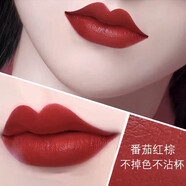 蘭奕（LANYI）李佳琪推薦不掉色不沾杯正紅色口紅雨衣啞光素顏顯白車(chē)厘子色防水 番茄紅棕色501#下單送禮品