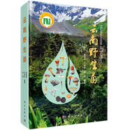 云南野生菌/云南/大型真菌/野生菌/蘑菇/蘑菇中毒/生物多樣性保護(hù)/楊祝良/國家科學(xué)技術(shù)學(xué)術(shù)著作出版基金/云南野生菌識別和鑒定的工具書/科普