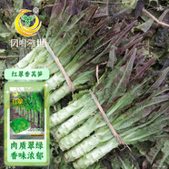 鳳鳴雅世紅葉萵苣種籽菜種子耐熱耐寒菜籽種農(nóng)家蔬菜紅翠香萵筍種子10克