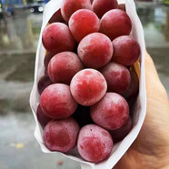 振億沭云南妮娜皇后葡萄【JD- 送貨上門(mén)】 時(shí)令生鮮水果 紅寶石無(wú)籽紅提 凈重 500g 一級果- -單果12-15g
