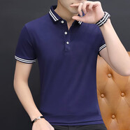 夏季男士短袖冰絲純棉翻領t恤簡約半袖Polo.衫潮流男裝上衣服體恤