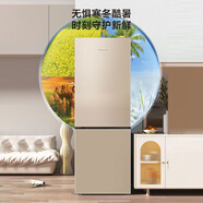 海信小型冰箱家用租房雙門二門兩門雙開門電冰箱冷藏冷凍宿舍小戶型BCD-177F/Q
