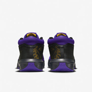 NIKE/耐克LEBRON WITNESS VIII EP男鞋休閑運動(dòng)訓練耐磨大學(xué)生籃球鞋 FB2237-001 主圖款 42.5