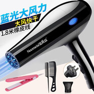 諾美絲（nuomeisi） 吹風(fēng)機(jī)家用理發(fā)店大功率電吹風(fēng)大風(fēng)力宿舍學(xué)生小吹風(fēng)筒 藍(lán)光專業(yè)版3000【直發(fā)器套餐】