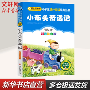 小巴掌童話(huà) 張秋生彩圖注音版 小學(xué)生讀物課外閱讀書(shū)籍書(shū)目一年級二年級 注音版 快樂(lè )讀書(shū)吧二年級上冊三年級上冊 小布頭奇遇記 彩圖注音版