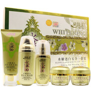 祈顏專柜依膚美水嫩白化妝品金裝版水嫩透白五合一套裝美容增白護(hù)膚 五合一套裝(含BB霜）