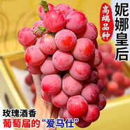攸竹妮娜皇后葡萄 紅寶石無籽紅提整箱高端新鮮水果可選禮盒 2串單串1.2-1.5斤 貴族妮娜皇后 精選大果粒