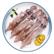 美加佳筆管魷魚凈重1斤 海兔子 墨斗魚 無保水劑 燒烤食材 海鮮水產(chǎn)
