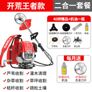 達(dá)瓦（DAWA）德國(guó)動(dòng)力技術(shù)割草機(jī)除草機(jī)打草機(jī)四沖程汽油機(jī)水稻收割機(jī)電動(dòng)農(nóng)具 背負(fù)式二合一（割草+松土）