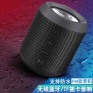 朗琴（ROYQUEEN） 無線藍牙音箱 低音炮迷你小音響 辦公家用臺式電腦手機無線插卡戶外便攜小鋼炮車載收錢播放器 M350黑色【可插TF卡+防水】 官方標配