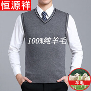 恒源祥純羊毛絨衫羊毛背心男V 領(lǐng)純寬松大碼針織毛衣秋冬坎肩中年馬甲爸爸裝純全100 1679中灰純全100 175XL純全100